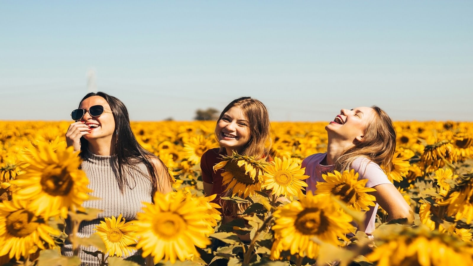 Friends on a field of flowers