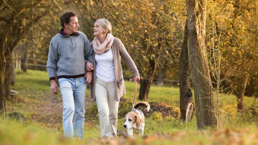 An older couple walks through a wooded area with a dog on a red leash.