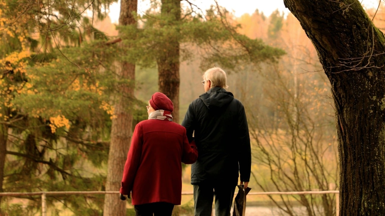 An older man and woman walking away from the camera through a wooded, autumn park.