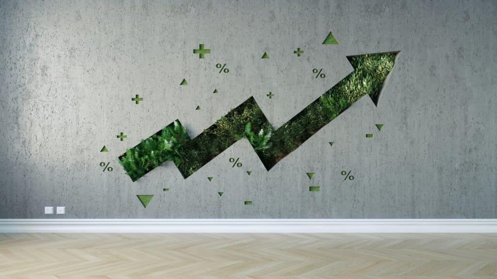 A photo illustrating the idea of investment growth