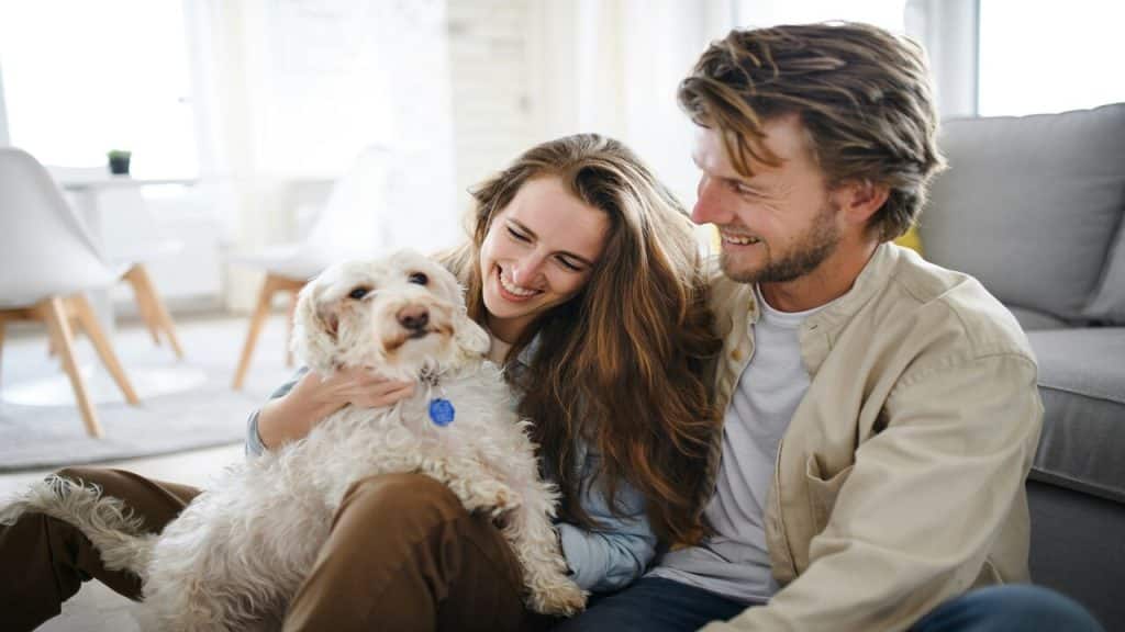 A couple spending time with their dog