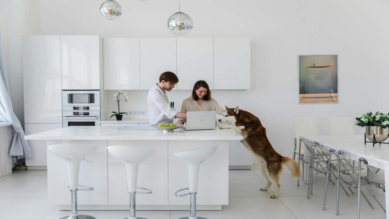 A couple spending time with their dog
