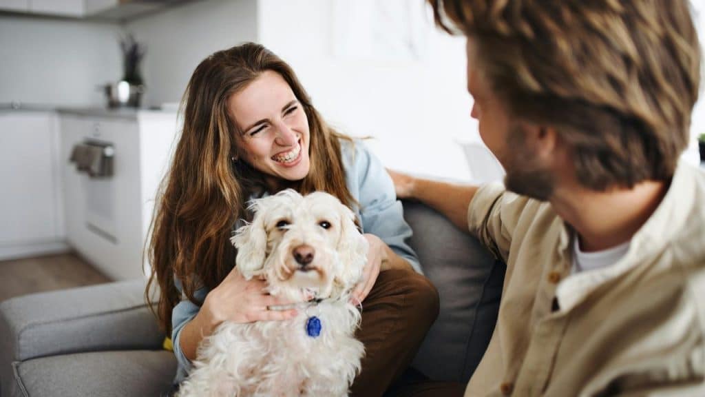 A couple smiling on a couch while holding a small dog.