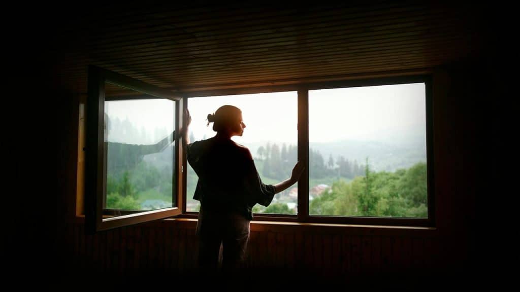 A silhouetted person standing by an open window, looking out over a green, misty landscape.
