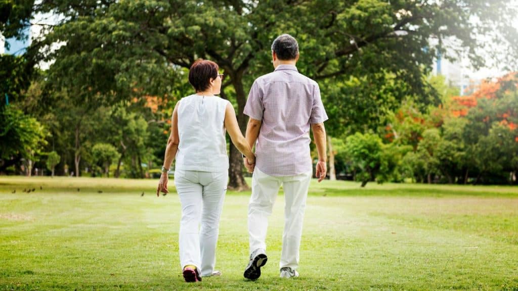A man and woman hold hands while walking away through a green park with large trees.