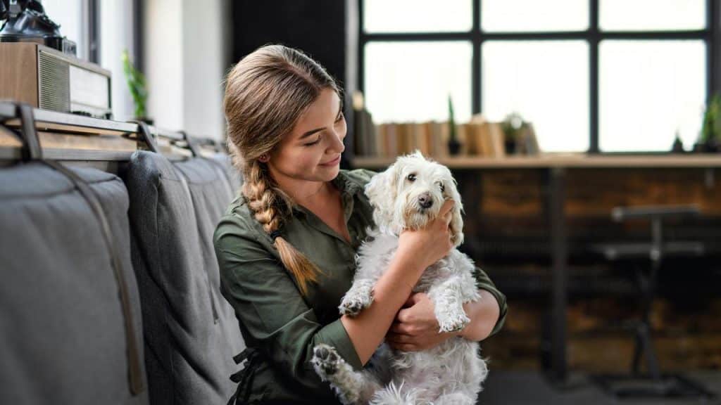 A woman sitting on a couch holding and smiling at a small white dog.