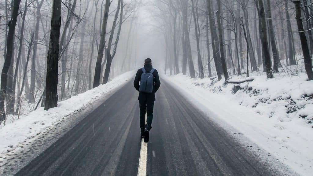 A man walking on a road between bare trees.