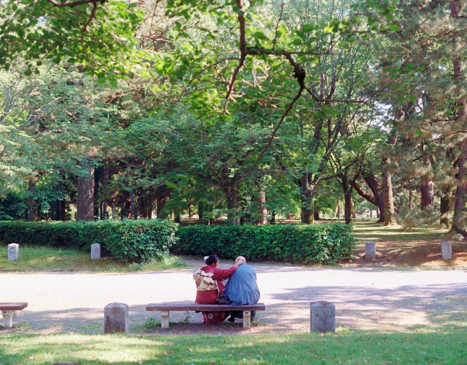 couple distant park