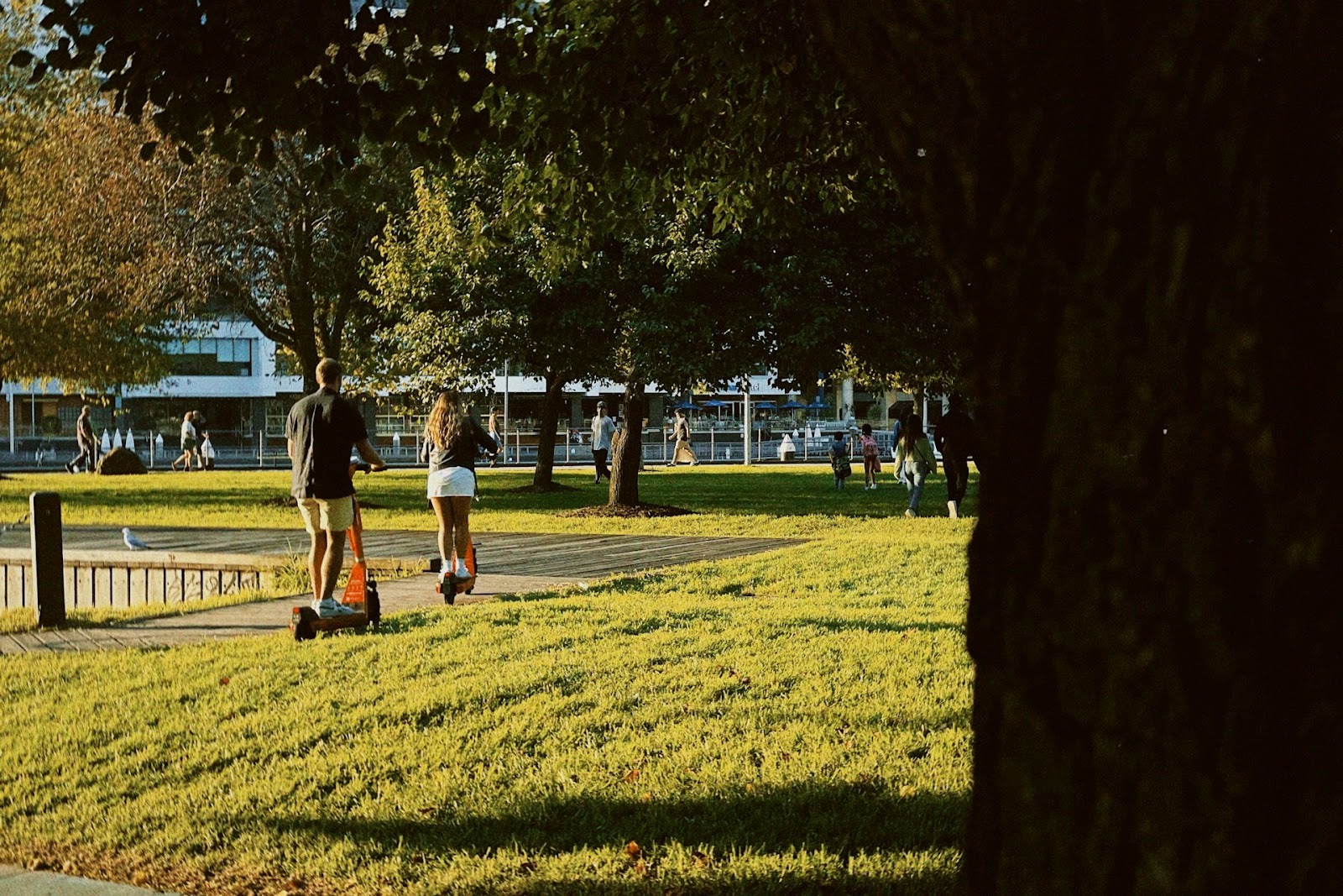 couple apart park