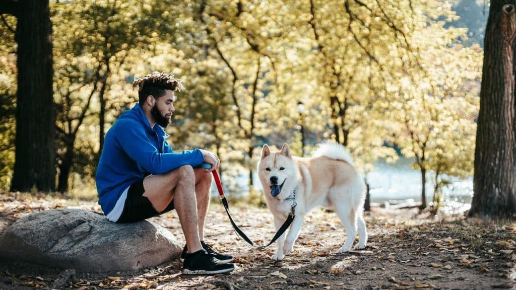 A man sits in a park holding a leash with his dog nearby.