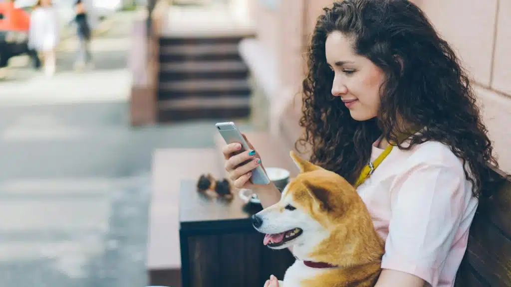 A woman with long, curly hair is sitting outdoors, holding an Akita dog on her lap while looking at her smartphone.