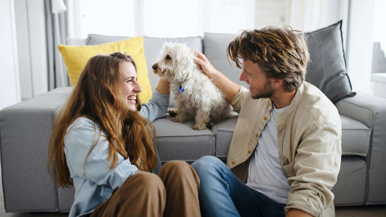 A couple playing with a dog while smiling at each other and talking.