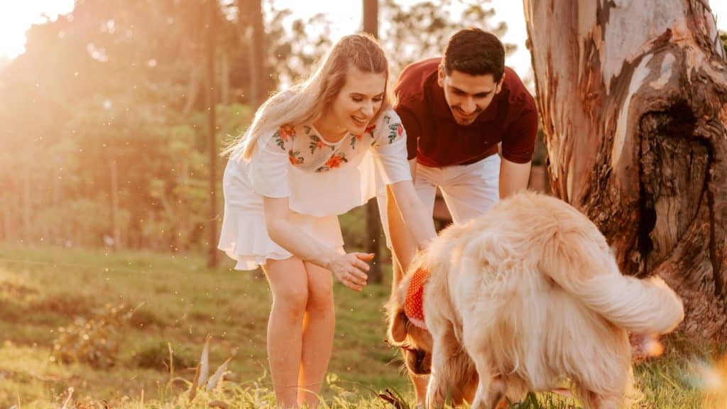 A man and woman pet a golden dog in a grassy field during a bright sunset.