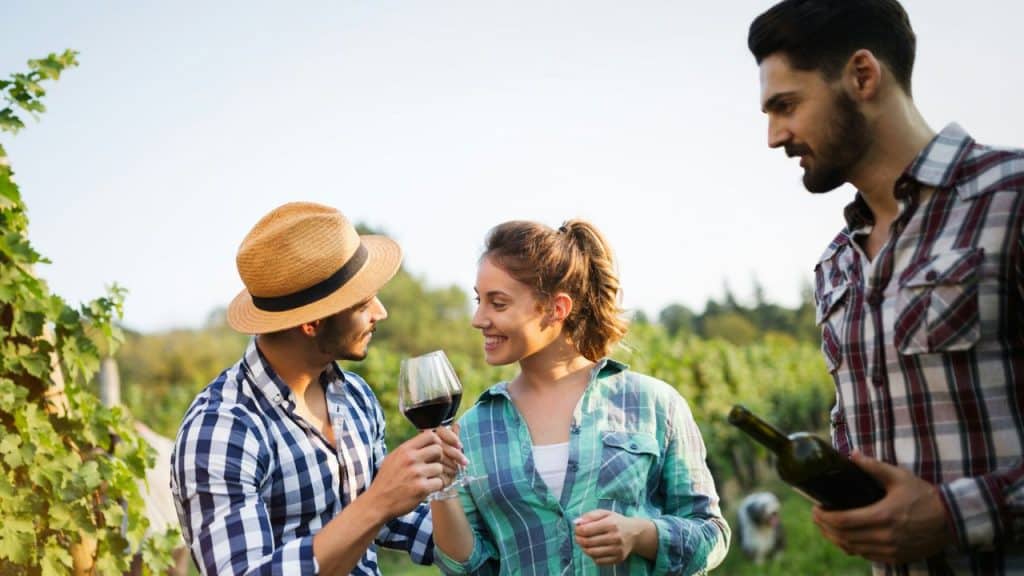 Three people stand in a vineyard, with two clinking wine glasses while the third looks on.