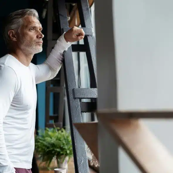 A middle-aged man with grey hair leans against a black ladder while looking out a window.