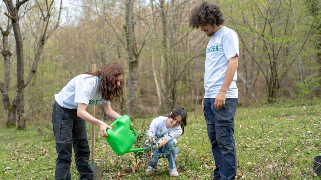 A group of people watering a plant in the woods.