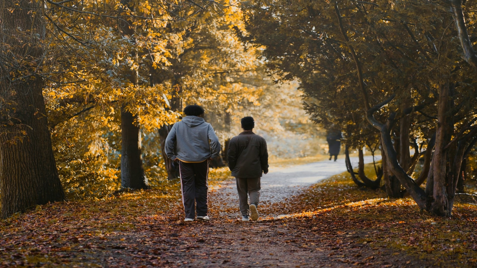 couple walking together calmly outdoors