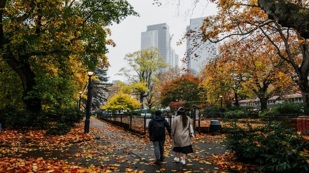 couple walking in park together