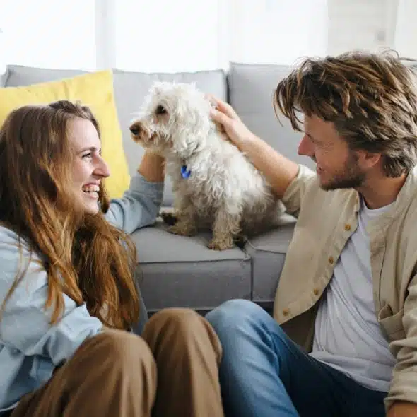A couple playing with a dog while smiling at each other and talking.