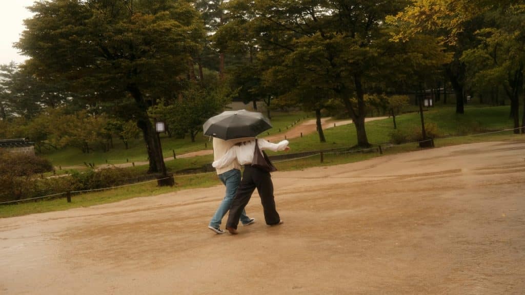 couple walking together in park