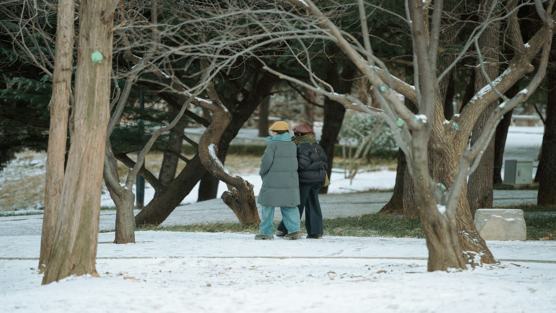 couple walking separately in park
