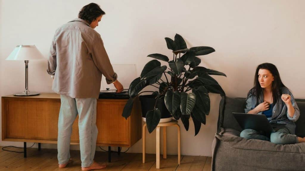A woman with a laptop looks toward a person operating a record player near a plant.