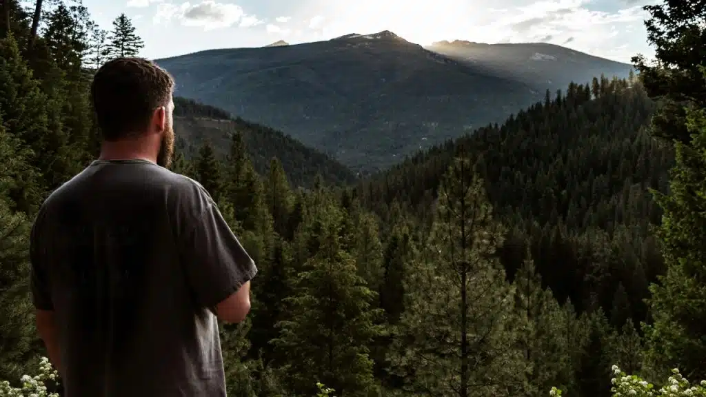 A man seen from behind looks out over a vast valley filled with evergreen trees.
