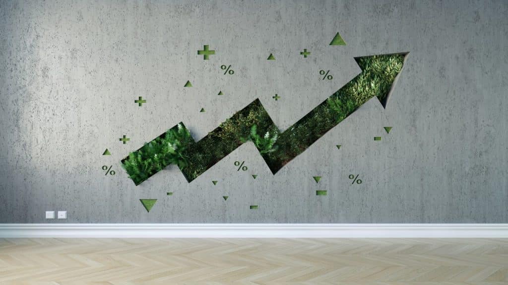 A photo illustrating the idea of investment growth