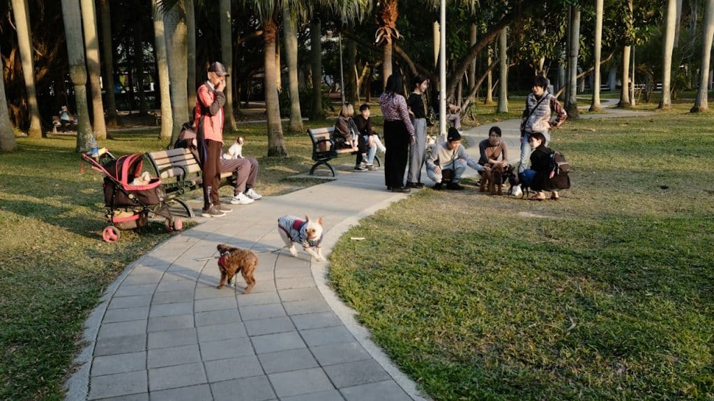 A group of people hanging out in a dog park.