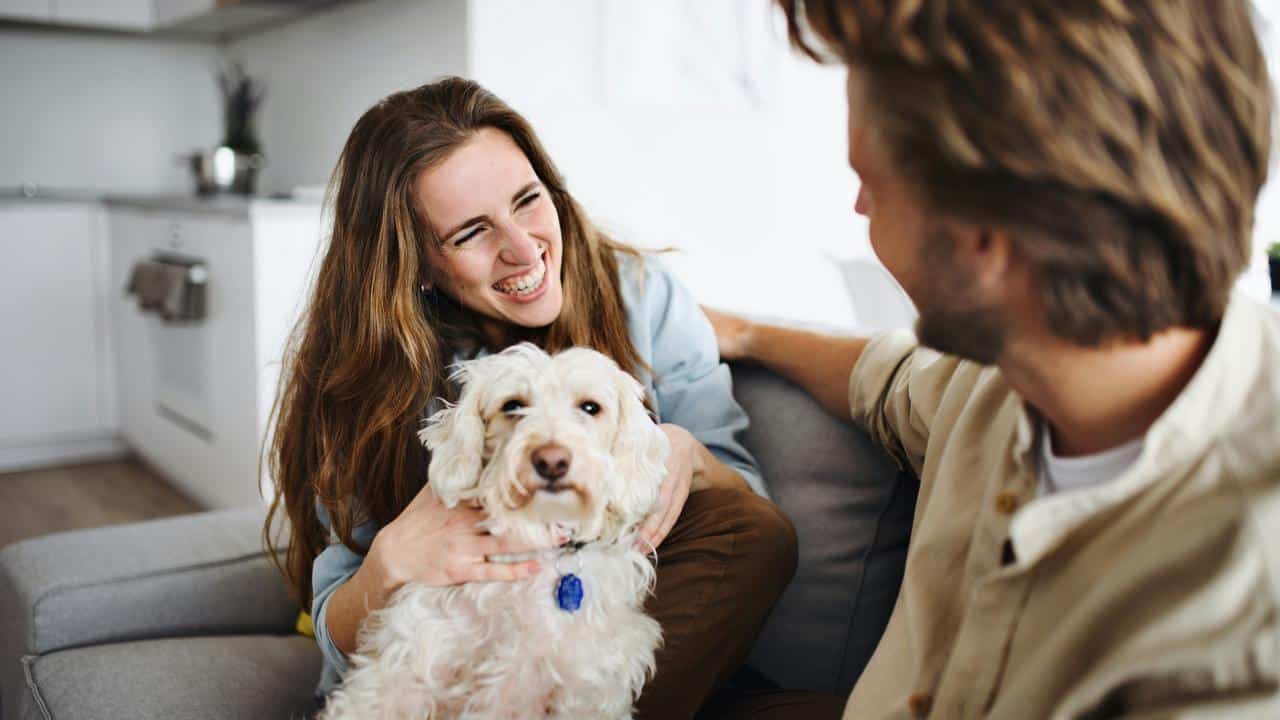 A couple smiling while holding a small dog