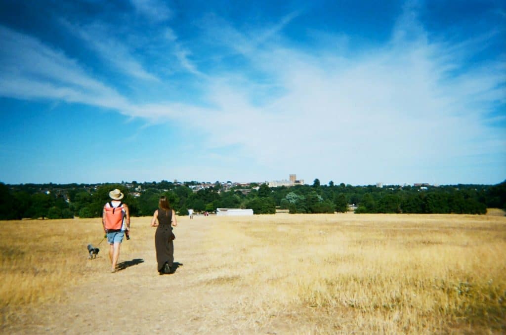 couple distant park