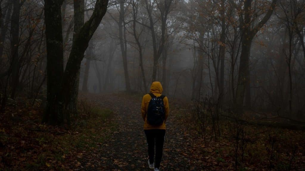 A man walking alone in a forest.