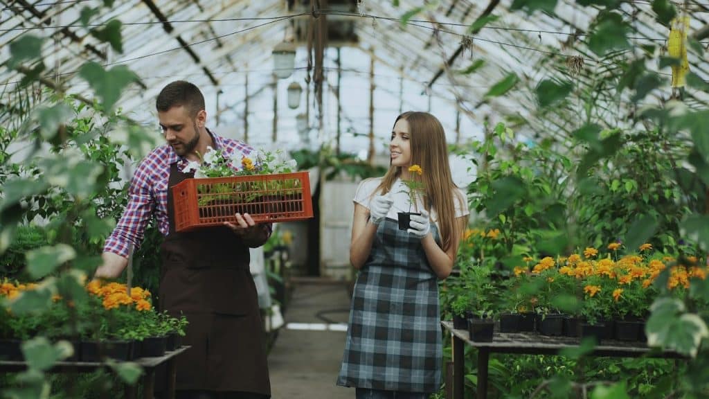 couple working together