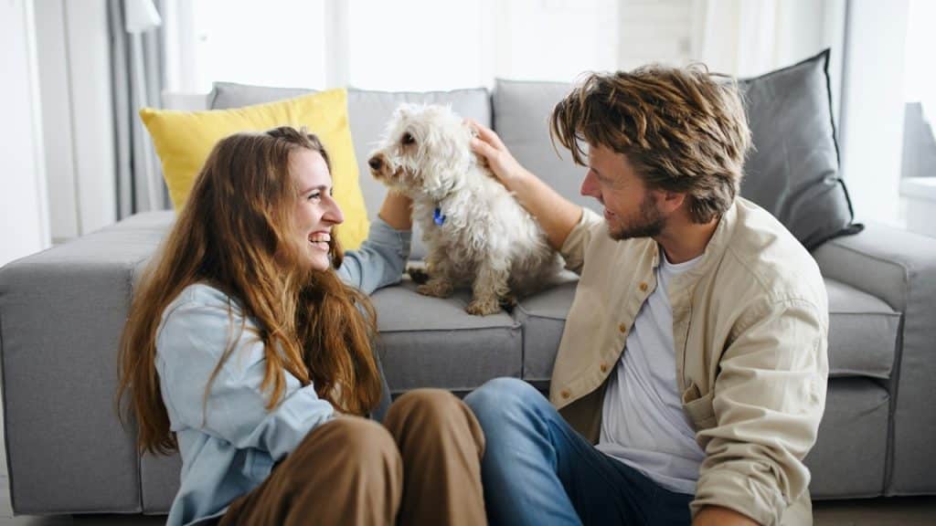 A couple playing with a dog while smiling at each other and talking