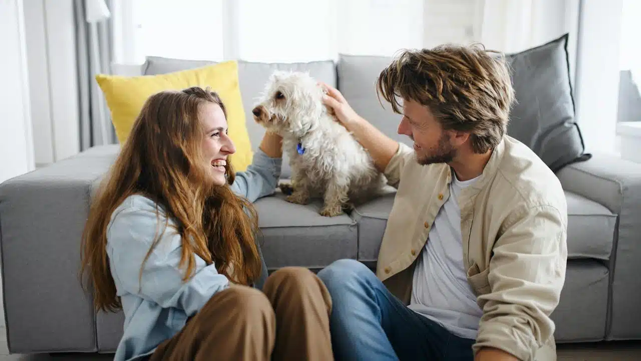 A couple playing with a dog while smiling at each other and talking.