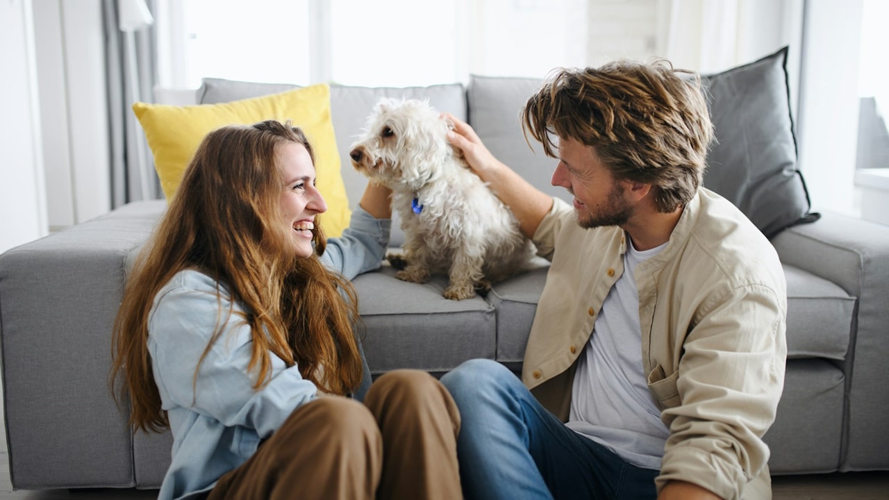 A couple playing with a dog while smiling at each other and talking.