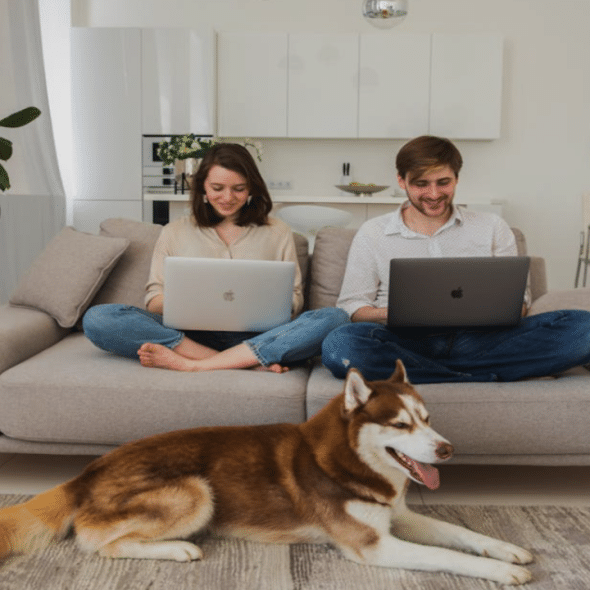 A couple working from home with their dog