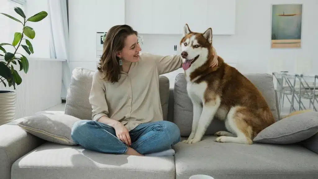 A woman sitting on a couch petting a husky.
