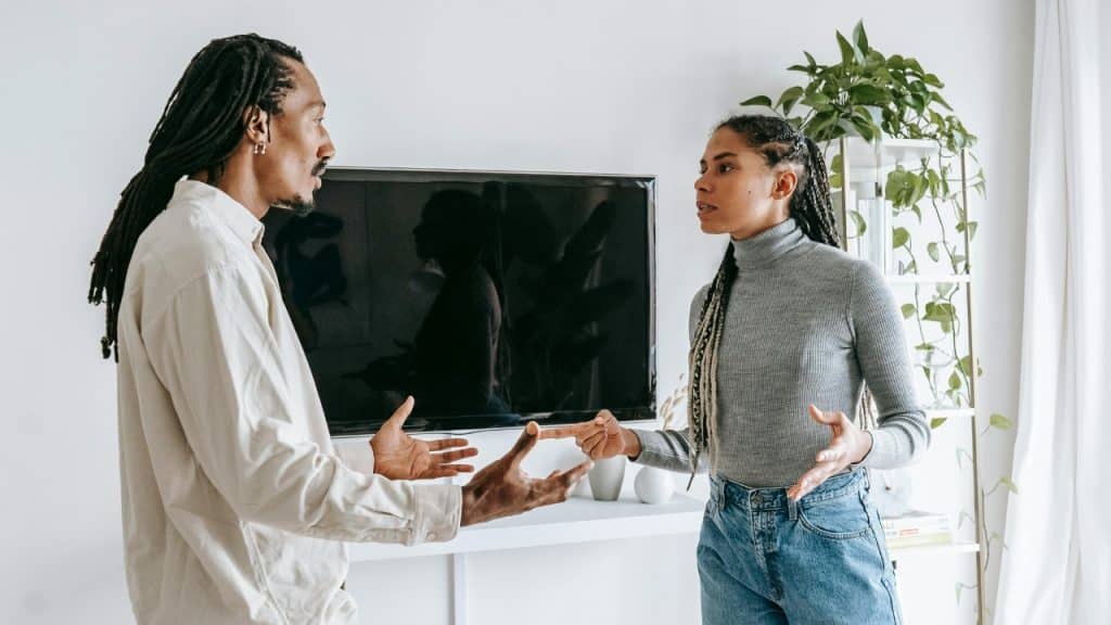 Two people with braided hair stand facing each other while gesturing with their hands near a television.