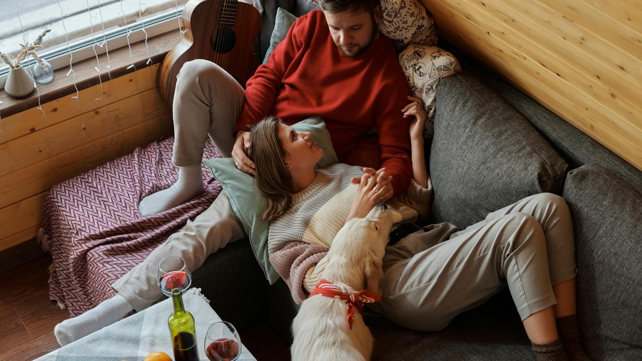 A cozy couple relaxing on a couch with their dog.