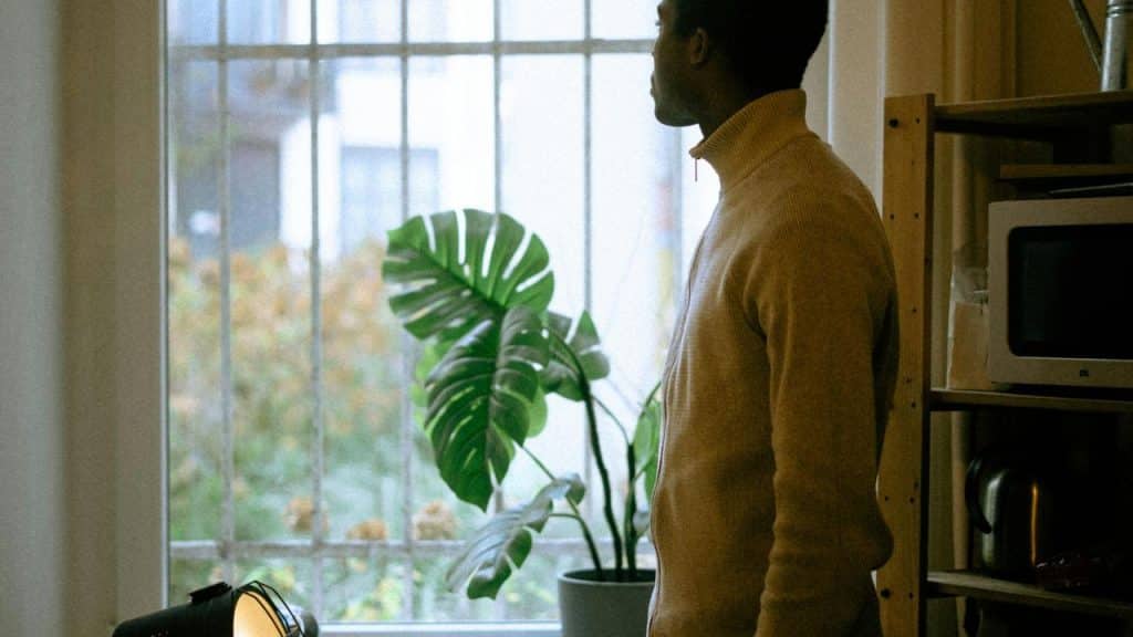 A man standing indoors, looking out a window beside a leafy houseplant.