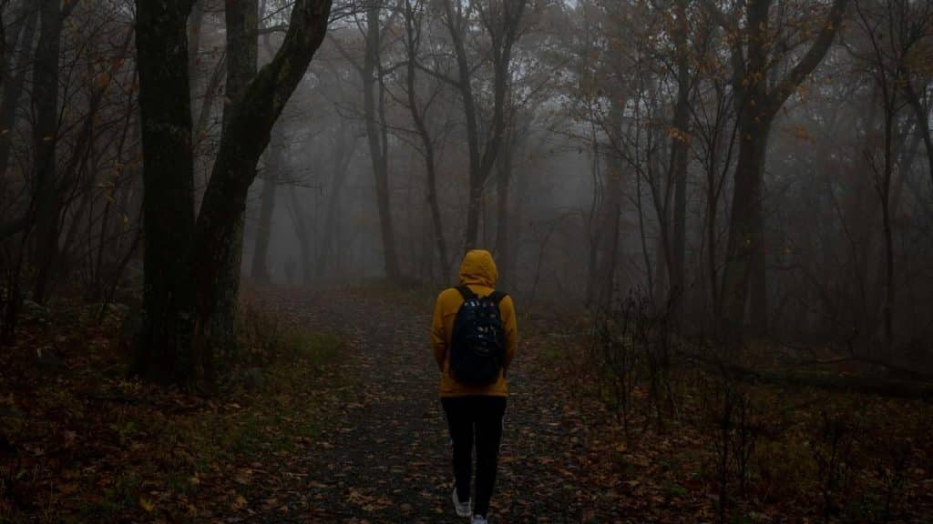 A man walking alone in a forest.