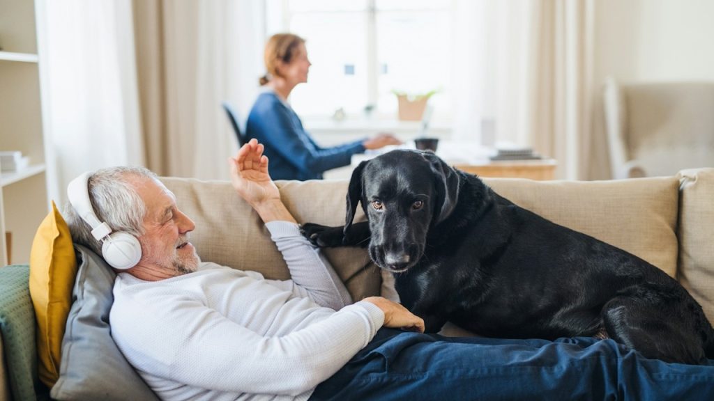 An old man wearing headphones lying with a dog and his young wife is working on a laptop.