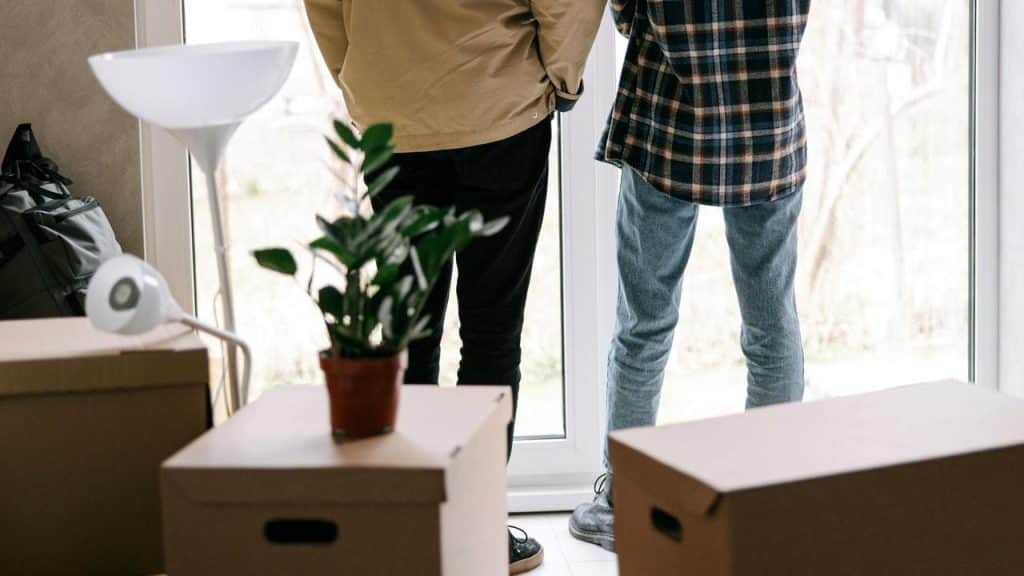 A couple standing by a window