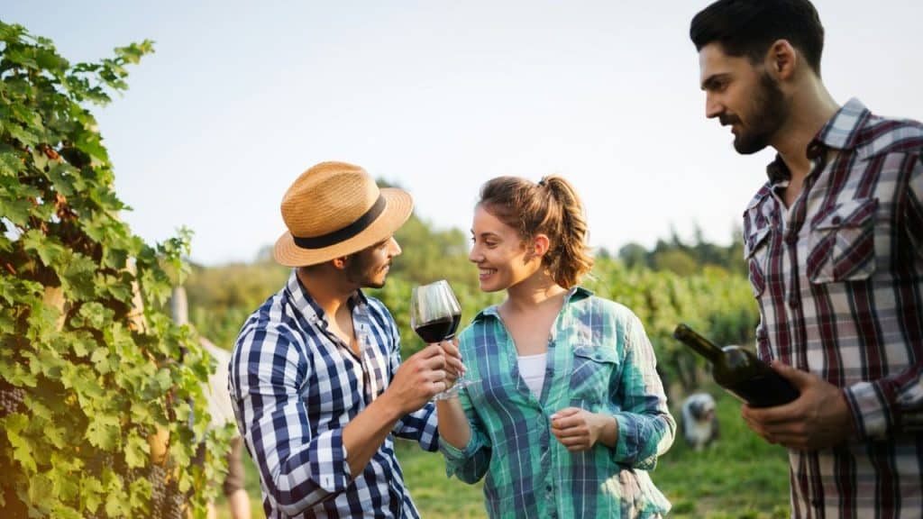 Three people stand in a vineyard while two of them clink wine glasses together.